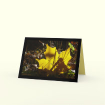Shadow Play cards by MoiraAshleigh Shadow Play cards