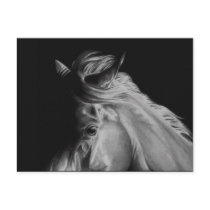 Shadow Play postcards by Katelin_Henderson Shadow Play postcards