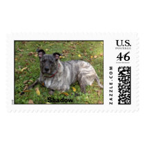 Shadow Postage Stamp