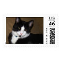 Shadow postage