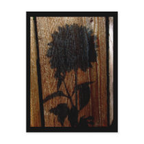 shadow postcards by iiiyaaa shadow postcards