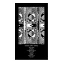 Shadow Self posters
