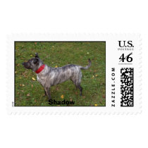 Shadow Standing postage