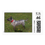 Shadow Standing postage