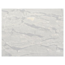Shadow tree bark letterhead template
