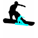 shadowboarder : teal : t-shirts