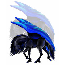 Shadowed Night Flyer T-Shirt
