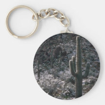 Shadowed Rocks Key Chains