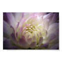 Shadowed Romance posters by wyldstorm_91 Shadowed Romance posters