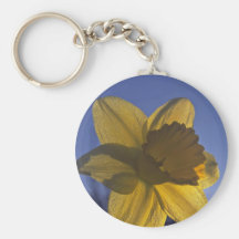 Shadowed Yellow Key Chain