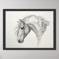Shadowfax Poster