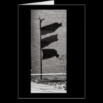 Shadowflags cards