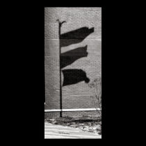 Shadowflags posters