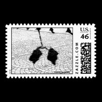 Shadows #5 stamps