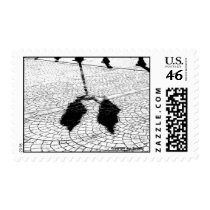 Shadows #5 postage
