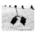 Shadows #5 posters
