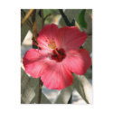 Shadows and light postcards
