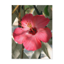 Shadows and light postcards by iiiyaaa Shadows and light postcards