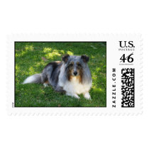 Shadow's High School Senior Shot postage by burdickp Shadow's High School Senior Shot postage
