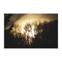 Shadows of a Sunset