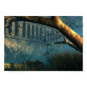 Shadows posters