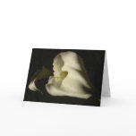 Shadowy Callas