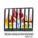shadraq, Meshach, and Abednego t-shirts