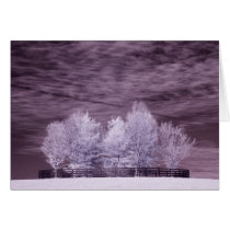 Shadwell Farm cards by michaelkloth Shadwell Farm cards