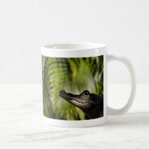 Shady Alligator mug mugs
