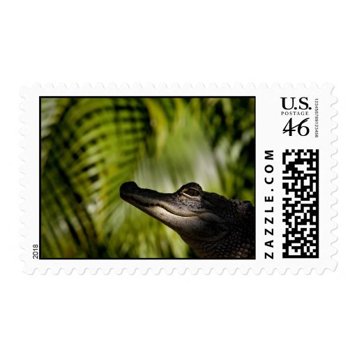 Shady Alligator postage stamp