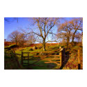 Shady Gate posters