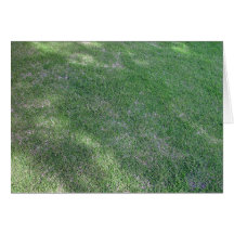 Shady green lawn for background greeting cards
