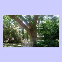 Shady Place to Relax business cards