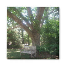 Shady Place to Relax Magnet