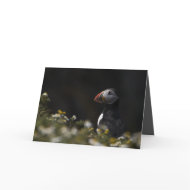 Shady Puffin card