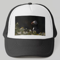 Shady Puffin hats