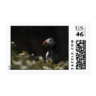 Shady Puffin stamp