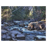 Shady Stream Custom Letterhead