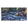 Shady Stream Photo Cards