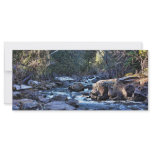 Shady Stream Custom Rack Cards
