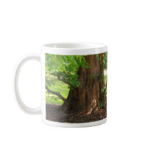 Shady Tree Mugs