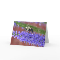 Shaggy Bee cards by cherylasmith Shaggy Bee cards