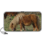 Shaggy Pony Speakers