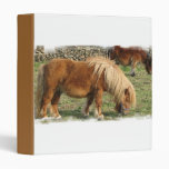 Shaggy Shetland Pony Binder