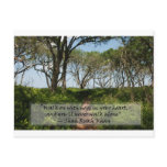 Shah Rukh Khan Quote- Walk on With Hope.... Postcard