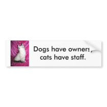 Shai Bumper Sticker bumper stickers by FloridaFeline Shai Bumper Sticker bumper stickers