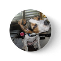 Shake it off beagle button