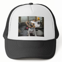 Shake it off beagle mesh hats