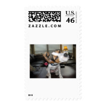 Shake it off beagle postage stamp