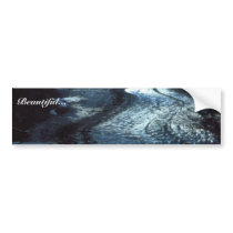 Shakes Glacier in Southeast Alaska bumper stickers